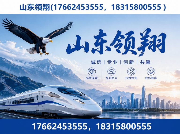 陵水山东领翔展示图